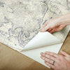 Coastal Map Premium Peel + Stick Wallpaper Peel and Stick Wallpaper York   