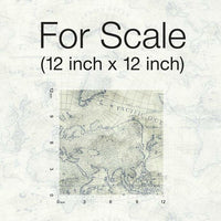 Coastal Map Premium Peel + Stick Wallpaper Peel and Stick Wallpaper York   