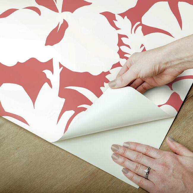 Hibiscus Arboretum Premium Peel + Stick Wallpaper Peel and Stick Wallpaper York   
