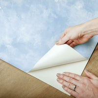 Atrium Clouds Premium Peel + Stick Wallpaper Peel and Stick Wallpaper York   