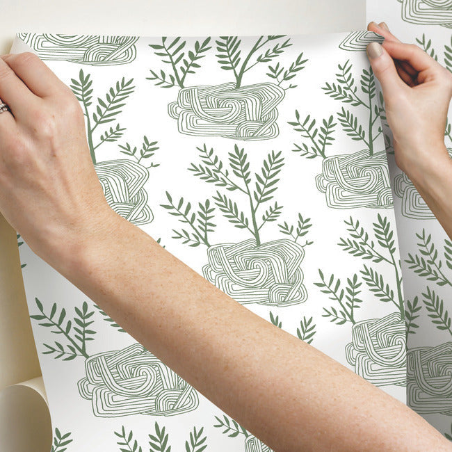 Seedlings Premium Peel + Stick Wallpaper Peel and Stick Wallpaper York   
