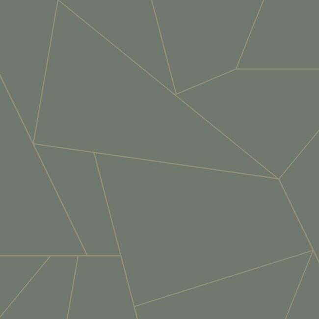 Fractured Prism Premium Peel + Stick Wallpaper Peel and Stick Wallpaper York Roll Graphite 