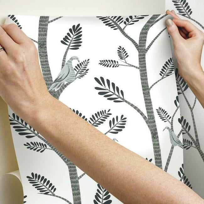 Aviary Branch Premium Peel + Stick Wallpaper Peel and Stick Wallpaper York   