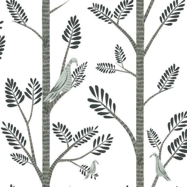 Aviary Branch Premium Peel + Stick Wallpaper Peel and Stick Wallpaper York Roll Dove Grey 