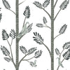 Aviary Branch Premium Peel + Stick Wallpaper Peel and Stick Wallpaper York Roll Dove Grey 
