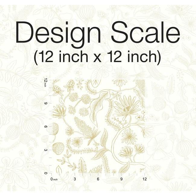 Aviary Premium Premium Peel + Stick Wallpaper Peel and Stick Wallpaper Rifle Paper Co.   