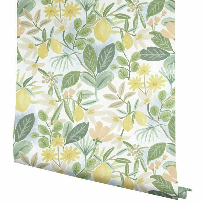 Amalfi Premium Premium Peel + Stick Wallpaper Peel and Stick Wallpaper Rifle Paper Co.   