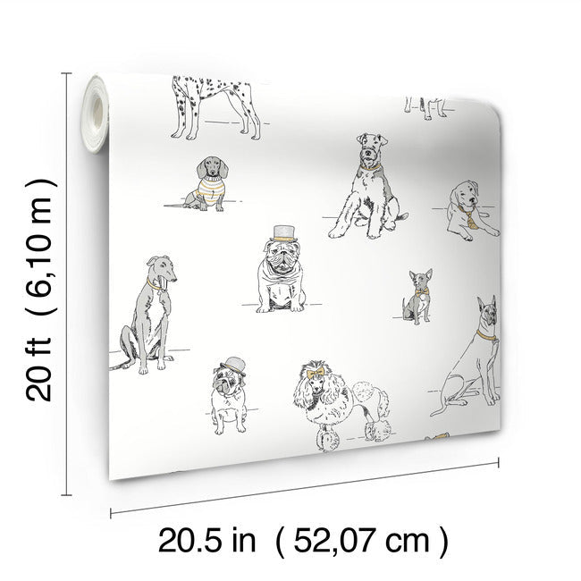 Dog's Life Premium Peel + Stick Wallpaper Peel and Stick Wallpaper York   