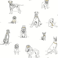 Dog's Life Premium Peel + Stick Wallpaper Peel and Stick Wallpaper York Roll Silver/Gold 