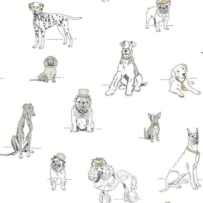 Dog's Life Premium Peel + Stick Wallpaper Peel and Stick Wallpaper York Roll Silver/Gold 