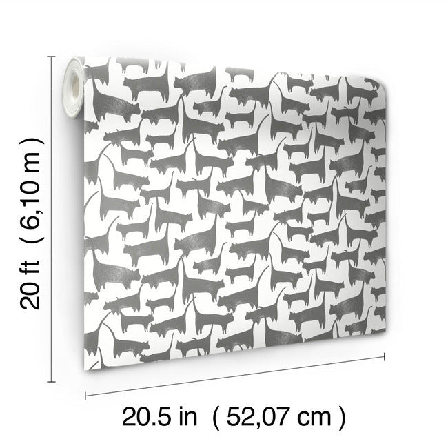 Cat Tails Premium Peel + Stick Wallpaper Peel and Stick Wallpaper York   