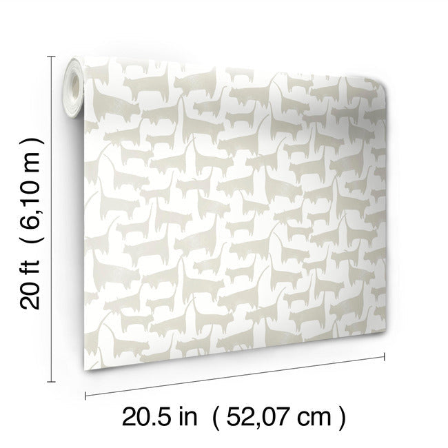 Cat Tails Premium Peel + Stick Wallpaper Peel and Stick Wallpaper York   