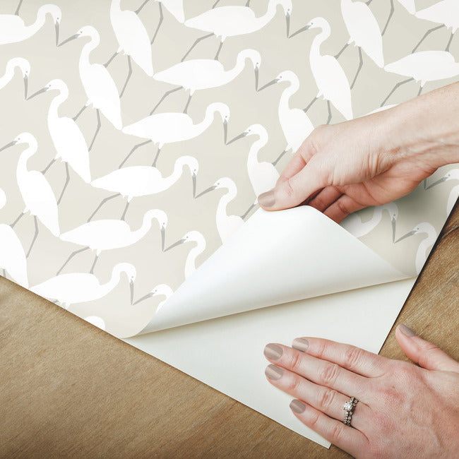 Elegant Birds Premium Peel + Stick Wallpaper Peel and Stick Wallpaper York   