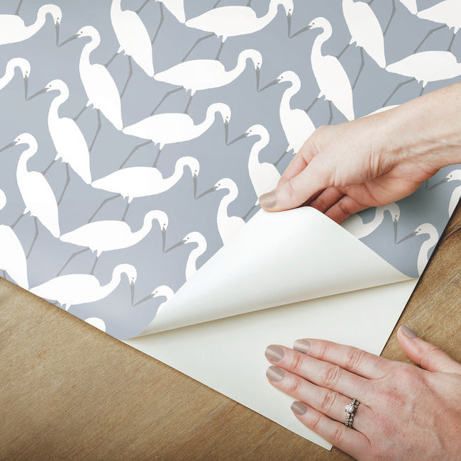 Elegant Birds Premium Peel + Stick Wallpaper Peel and Stick Wallpaper York   
