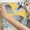 Feather Flight Premium Peel + Stick Wallpaper Peel and Stick Wallpaper York   