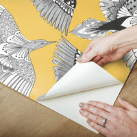 Feather Flight Premium Peel + Stick Wallpaper Peel and Stick Wallpaper York   