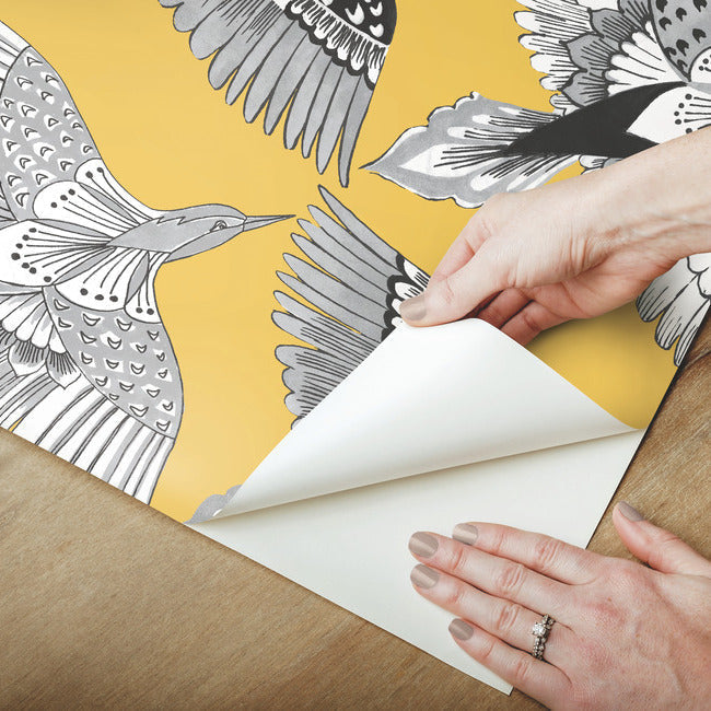 Feather Flight Premium Peel + Stick Wallpaper Peel and Stick Wallpaper York   
