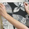Feather Flight Premium Peel + Stick Wallpaper Peel and Stick Wallpaper York   