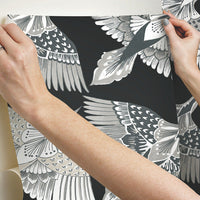 Feather Flight Premium Peel + Stick Wallpaper Peel and Stick Wallpaper York   