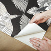 Feather Flight Premium Peel + Stick Wallpaper Peel and Stick Wallpaper York   