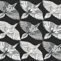 Feather Flight Premium Peel + Stick Wallpaper Peel and Stick Wallpaper York Roll Black 