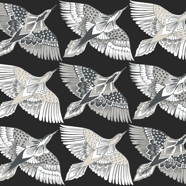 Feather Flight Premium Peel + Stick Wallpaper Peel and Stick Wallpaper York Roll Black 