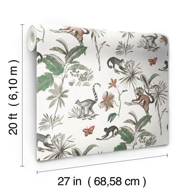 Botanicals & Lemurs Premium Peel + Stick Wallpaper Peel and Stick Wallpaper York   