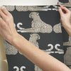 Reclining Cheetahs Premium Peel + Stick Wallpaper Peel and Stick Wallpaper York   