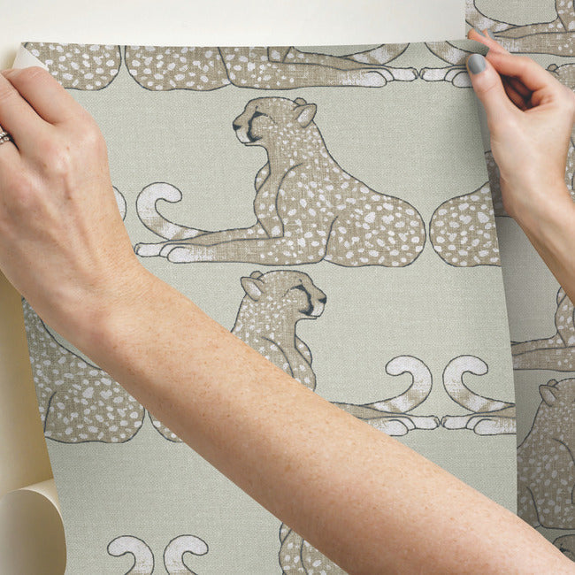 Reclining Cheetahs Premium Peel + Stick Wallpaper Peel and Stick Wallpaper York   