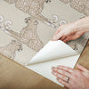 Reclining Cheetahs Premium Peel + Stick Wallpaper Peel and Stick Wallpaper York   
