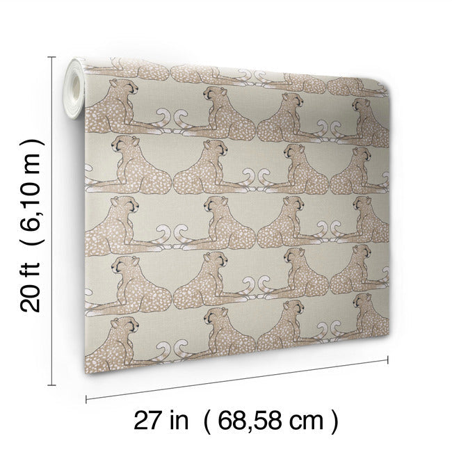 Reclining Cheetahs Premium Peel + Stick Wallpaper Peel and Stick Wallpaper York   
