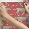 Big Cat Walk Premium Peel + Stick Wallpaper Peel and Stick Wallpaper York   