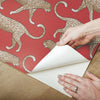 Big Cat Walk Premium Peel + Stick Wallpaper Peel and Stick Wallpaper York   