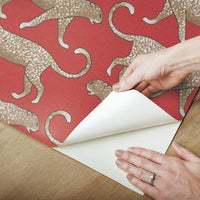 Big Cat Walk Premium Peel + Stick Wallpaper Peel and Stick Wallpaper York   
