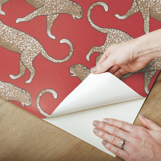 Big Cat Walk Premium Peel + Stick Wallpaper Peel and Stick Wallpaper York   