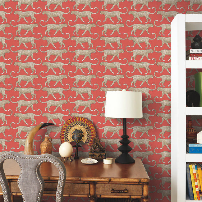 Big Cat Walk Premium Peel + Stick Wallpaper Peel and Stick Wallpaper York   