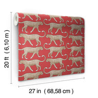 Big Cat Walk Premium Peel + Stick Wallpaper Peel and Stick Wallpaper York   