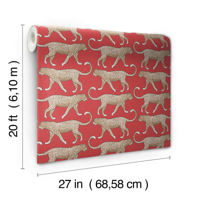 Big Cat Walk Premium Peel + Stick Wallpaper Peel and Stick Wallpaper York   