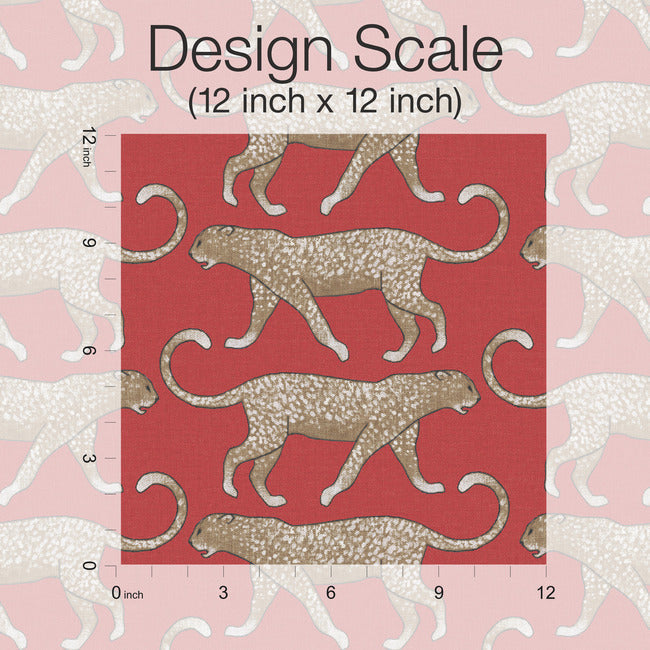 Big Cat Walk Premium Peel + Stick Wallpaper Peel and Stick Wallpaper York   