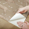Big Cat Walk Premium Peel + Stick Wallpaper Peel and Stick Wallpaper York   