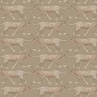 Big Cat Walk Premium Peel + Stick Wallpaper Peel and Stick Wallpaper York Roll Fawn 