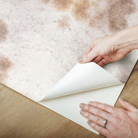 Leopard Appaloosa Premium Peel + Stick Wallpaper Peel and Stick Wallpaper SAS Equestrian Home   