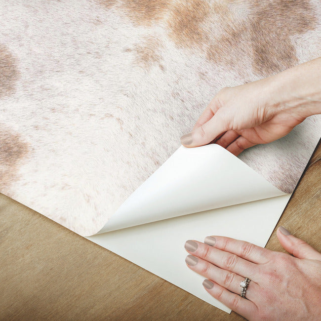Leopard Appaloosa Premium Peel + Stick Wallpaper Peel and Stick Wallpaper SAS Equestrian Home   