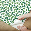 Forest Glade Peel and Stick Wallpaper Peel and Stick Wallpaper Madcap Cottage   