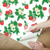 Berry Nice Premium Peel + Stick Wallpaper Peel and Stick Wallpaper Madcap Cottage   