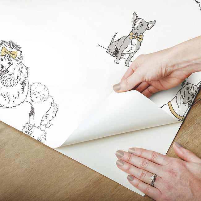 Dog's Life Premium Peel + Stick Wallpaper Peel and Stick Wallpaper York   