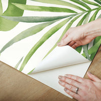 Paradise Palm Premium Peel + Stick Wallpaper Peel and Stick Wallpaper Candice Olson   