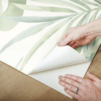Paradise Palm Premium Peel + Stick Wallpaper Peel and Stick Wallpaper Candice Olson   
