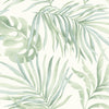 Paradise Palm Premium Peel + Stick Wallpaper Peel and Stick Wallpaper Candice Olson Roll Aloe 
