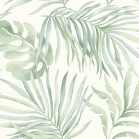 Paradise Palm Premium Peel + Stick Wallpaper Peel and Stick Wallpaper Candice Olson Roll Aloe 